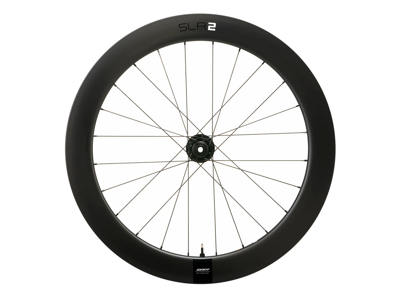 WheelSystem SLR 2 65 Disc 1 WheelSystem SLR 2 65 Disc